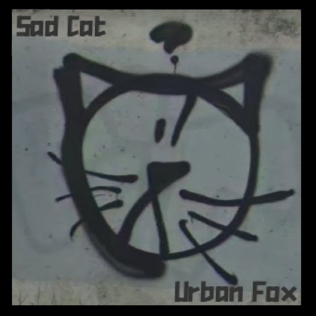 Sad Cat