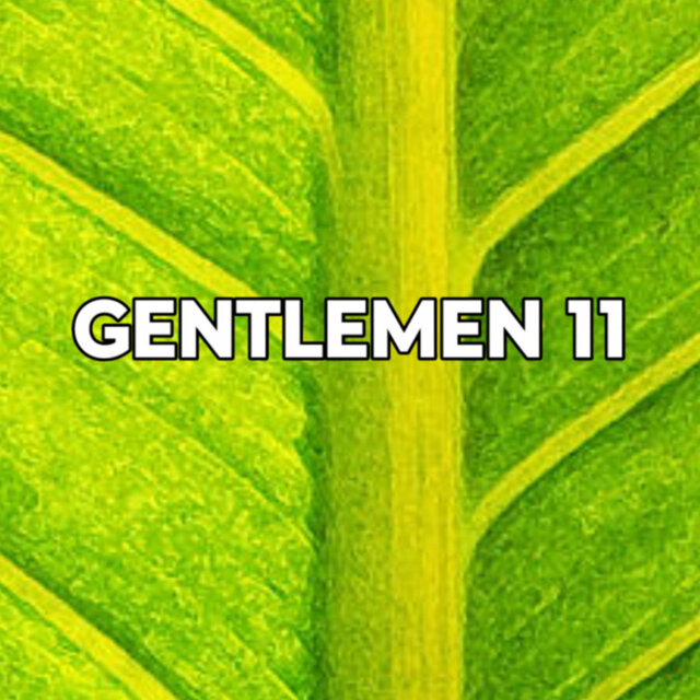GENTLEMEN 11