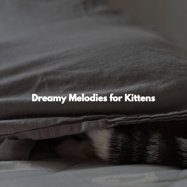 Dreamy Melodies for Kittens
