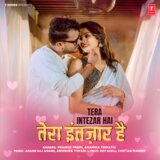 Tera Intezar Hai