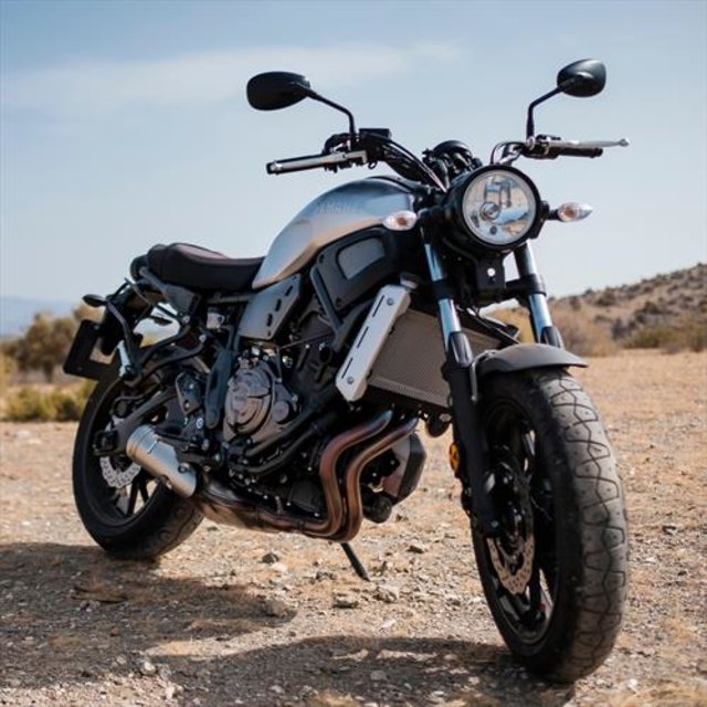 Born to Be Wild