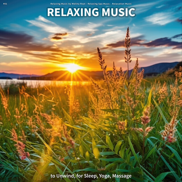 #01 Relaxing Music to Unwind, for Sleep, Yoga, Massage
