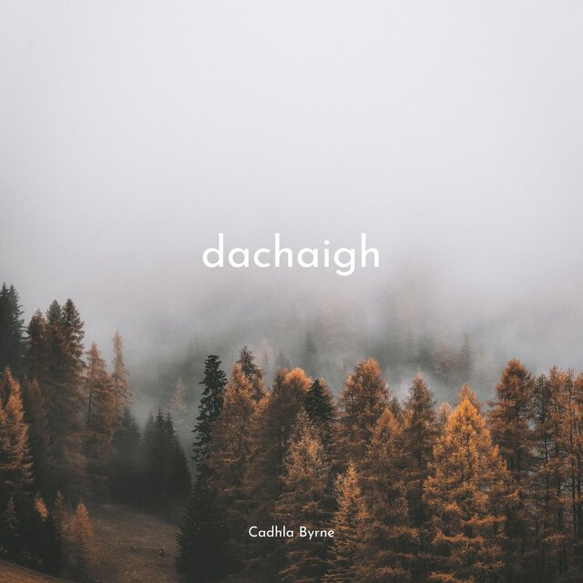 Dachaigh