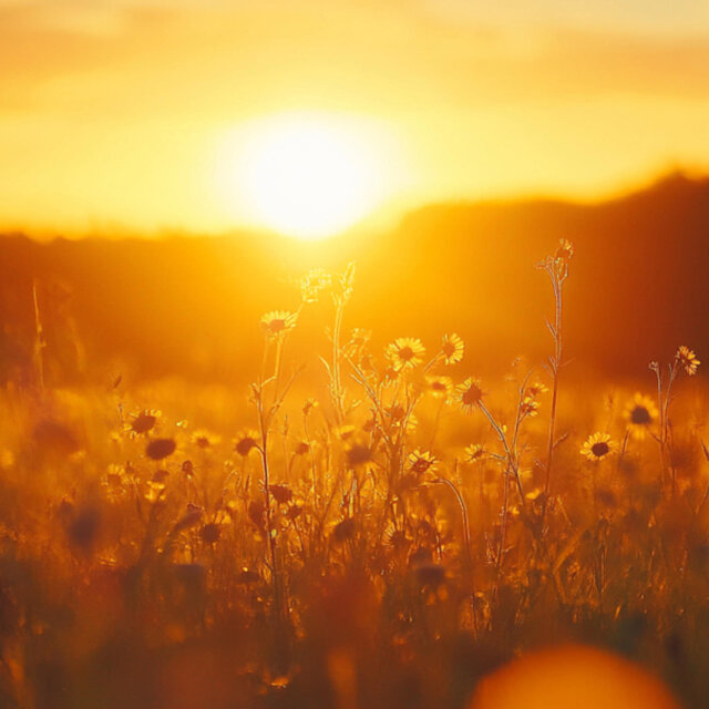 The same old sun