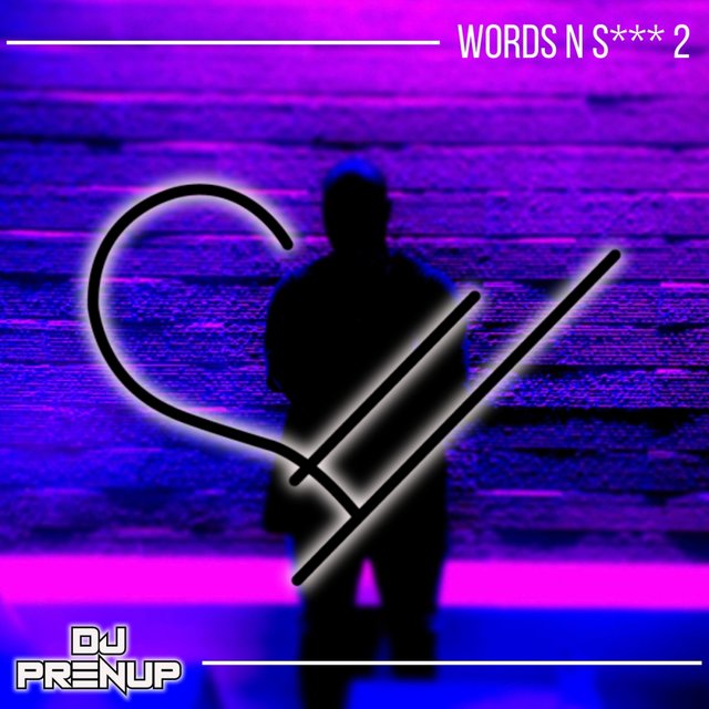 Words N S*** 2