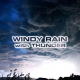 Windy Rainy Sleep (feat. Wind Atmosphere Sounds, Wind Sounds 3D, Wind White Noise FX, Rain White Noise FX, Sleepy Rain Sound & Nature Sounds FX)