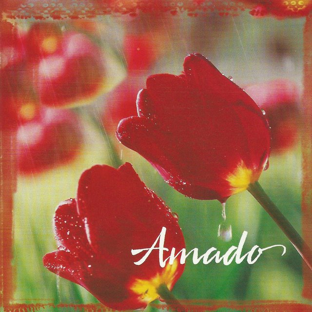 Amado