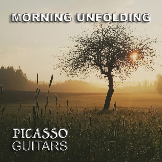 Morning Unfolding
