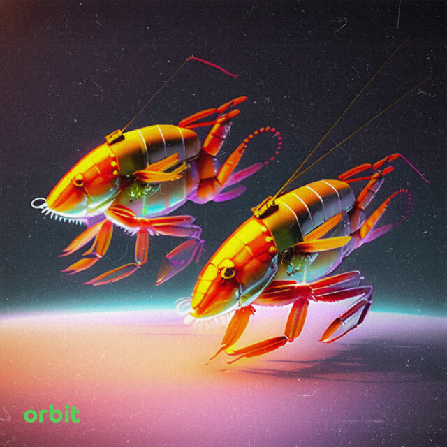 orbit