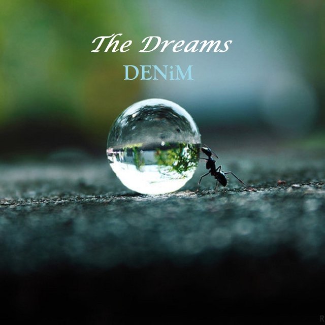 The Dreams