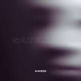 Satellite