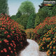 Cover art for album Count Backwards From 10 by Strawpeople