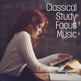 Piano Concerto No. 20 in D Minor, K. 466: II. Romance