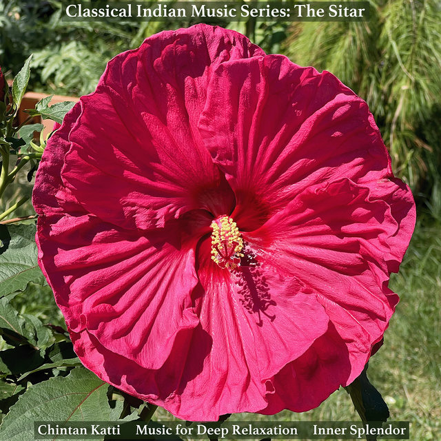 Classical Indian Music Series: The Sitar