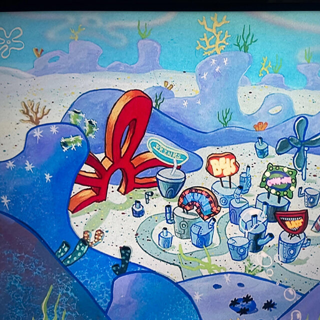 barnacles