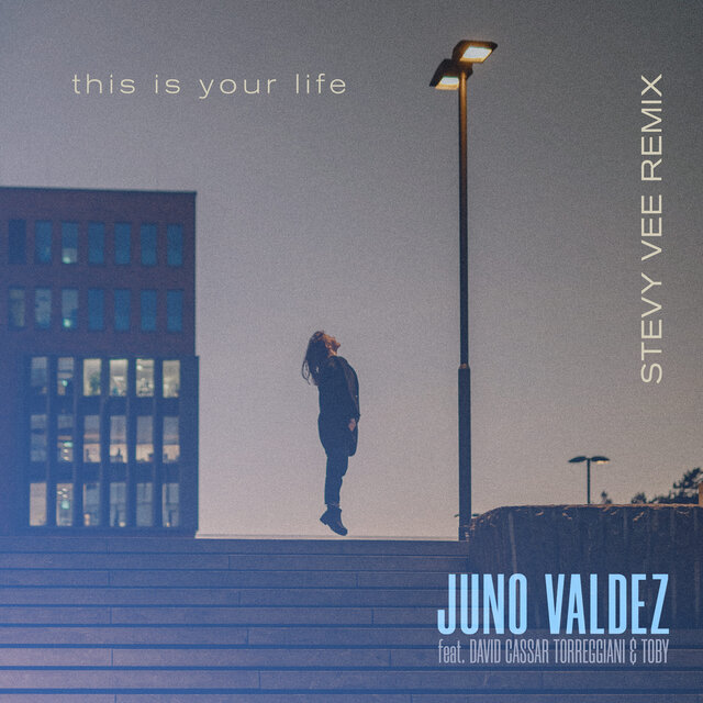 This Is Your Life (Stevy Vee Remix)