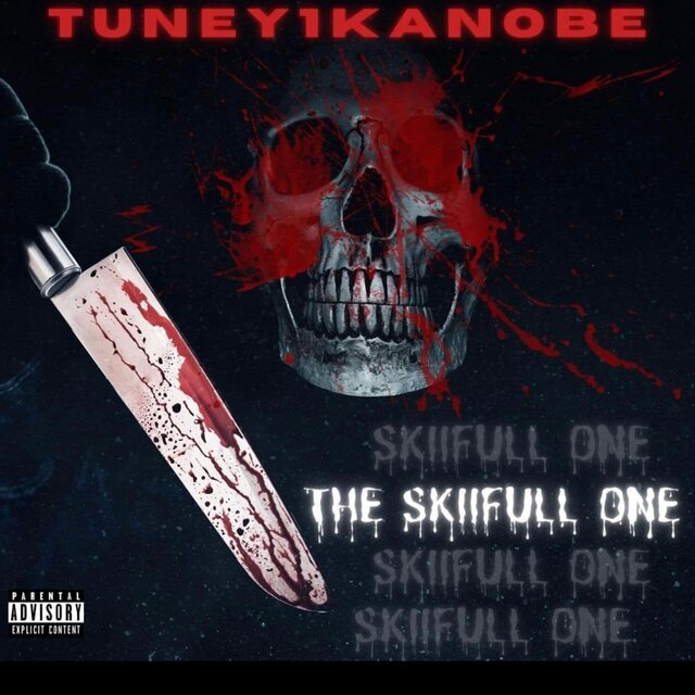 The SkiiFull One