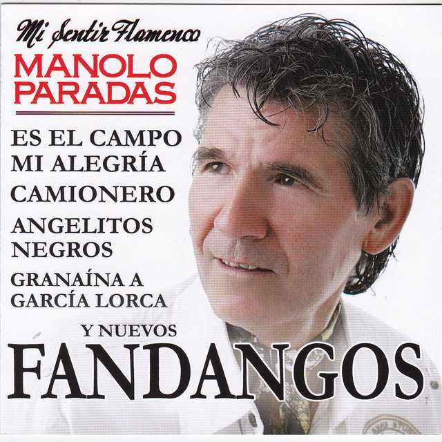Mi Sentir Flamenco