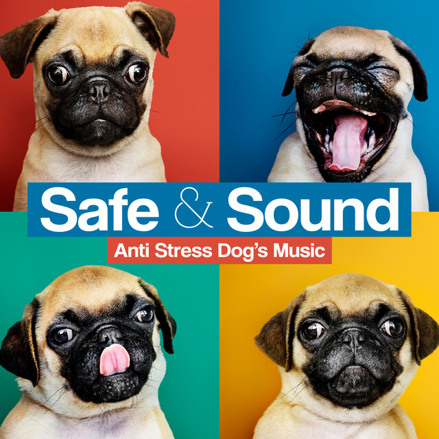 Safe & Sound