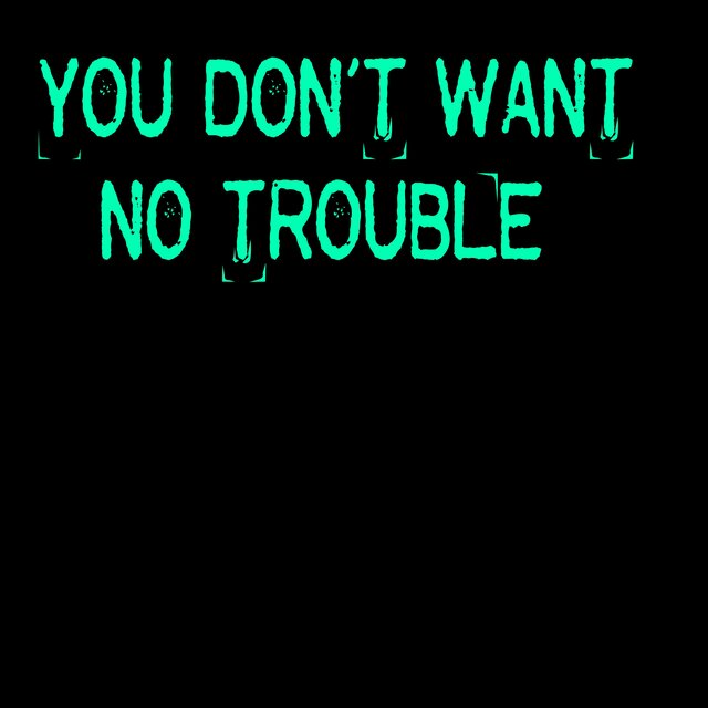 YOU DON`T WANT NO TROUBLE