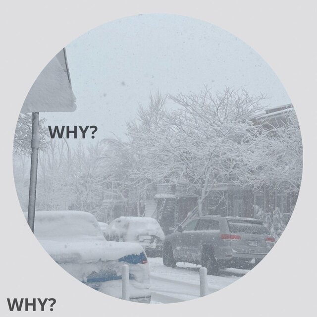 WHY?