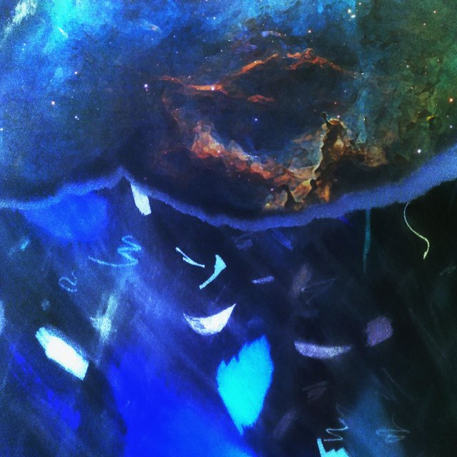 Xylem