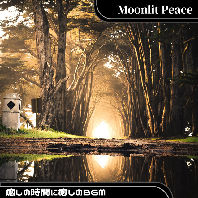 癒しの時間に癒しのBGM