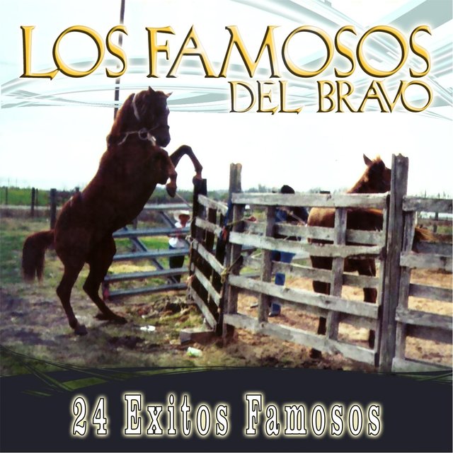 24 Exitos Famosos