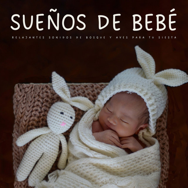 Sueños De Bebé: Relajantes Sonidos De Bosque y Aves Para Tu Siesta