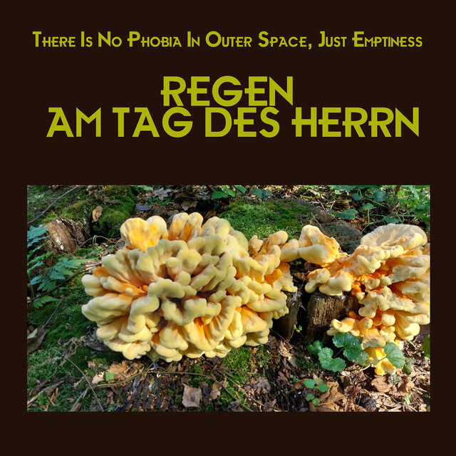 Regen Am Tag Des Herrn