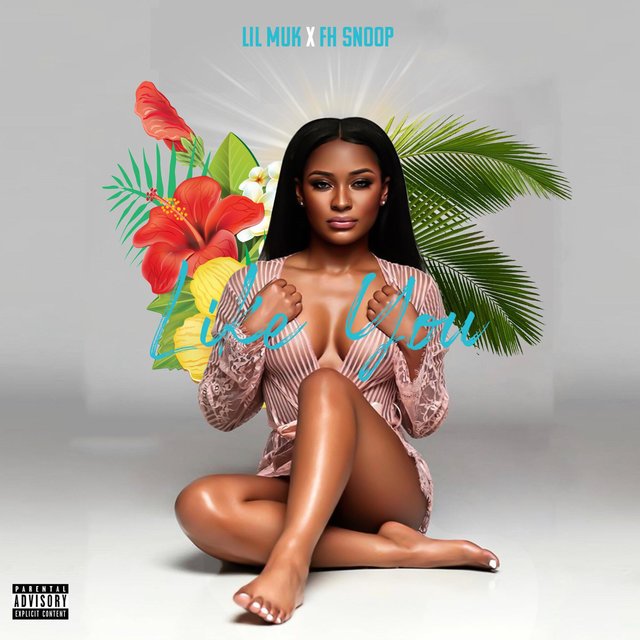Like You (feat. FH Snoop)