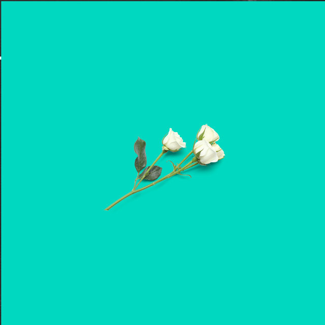 Rituals (Deluxe)