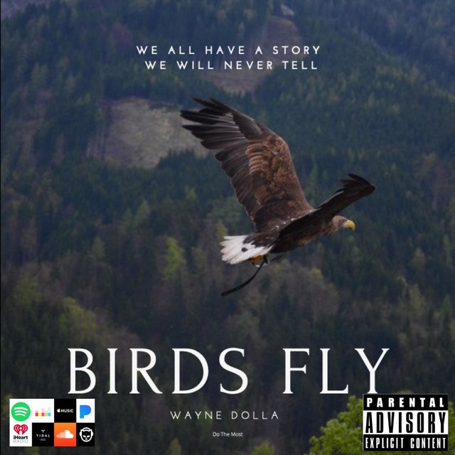 Birds Fly Freestyle