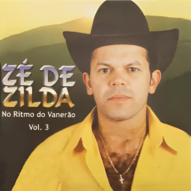 No Ritmo do Vanerão, Vol.3