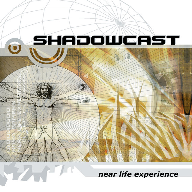Near Life Experience