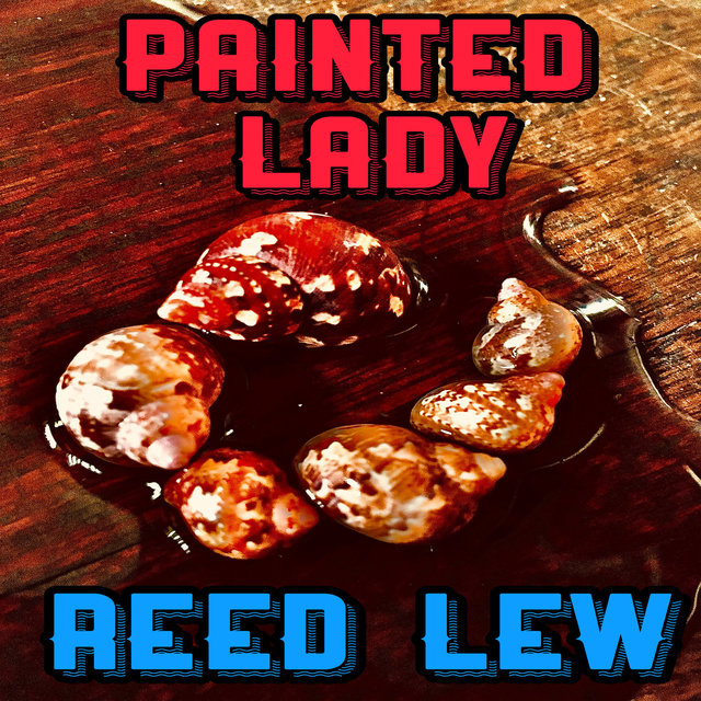 Painted Lady
