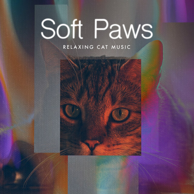 Soft Paws