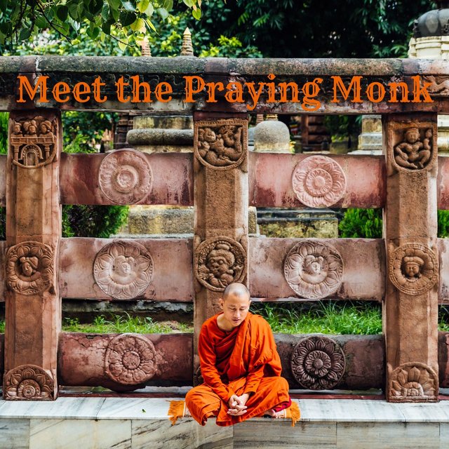 Meet the Praying Monk