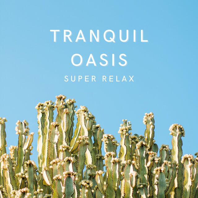 Tranquil Oasis