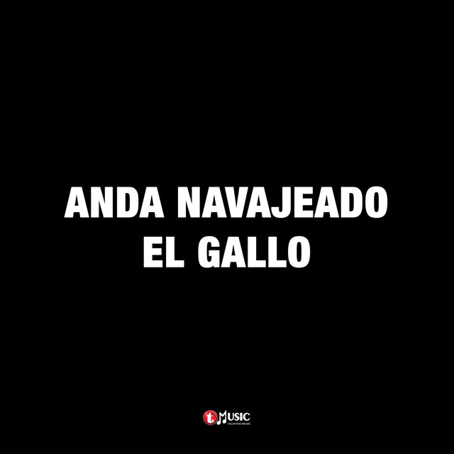 Anda Navajeado El Gallo