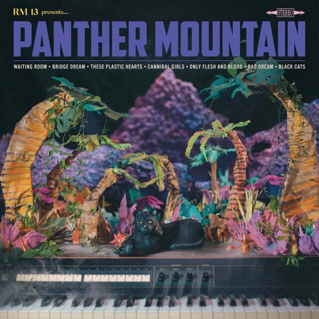 Panther Mountain