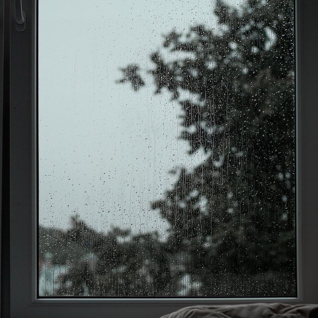 Soft Rain Sounds