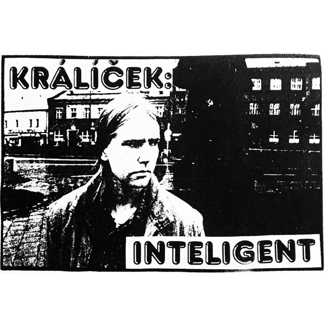 Inteligent