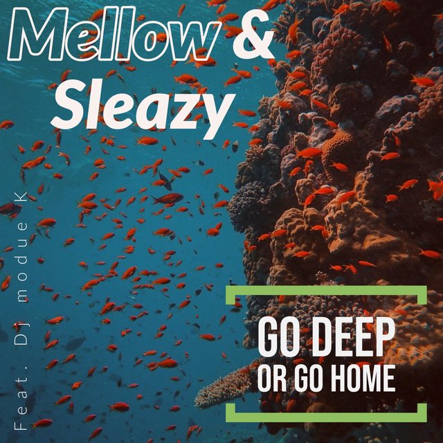 Go Deep or Go Home (feat. DJ Modue K)