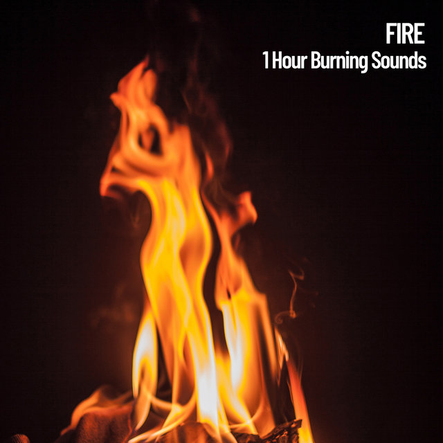 Fire: 1 Hour Burning Sounds