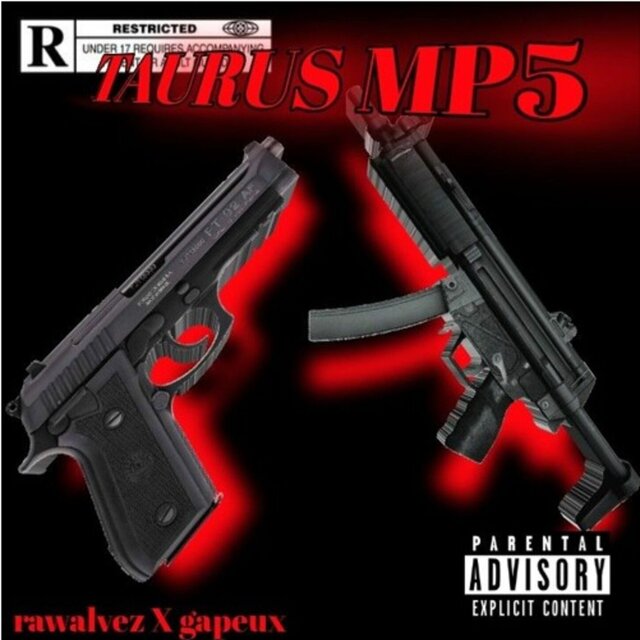 Taurus Mp5