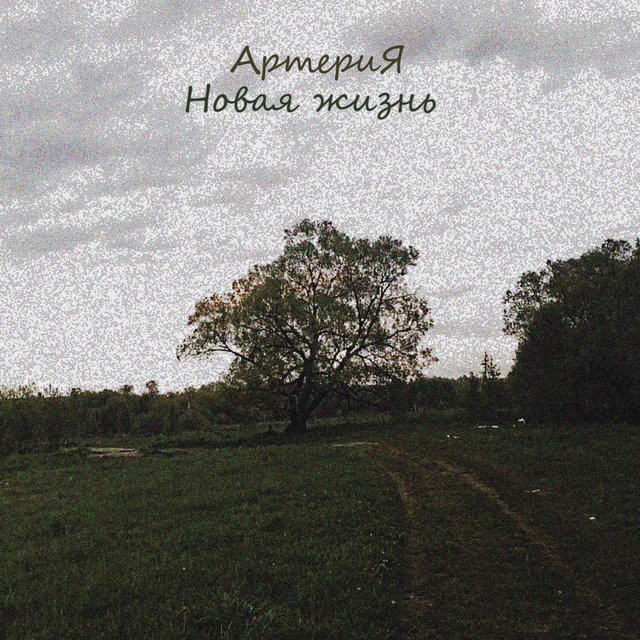 Новая Жизнь