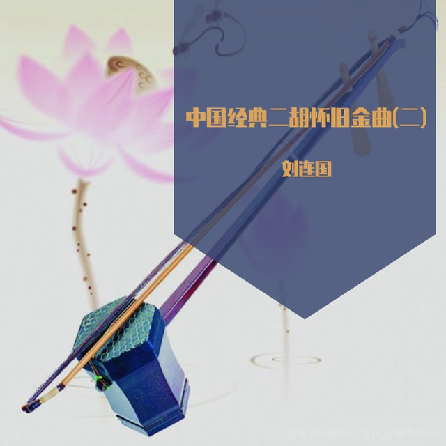 中国经典二胡怀旧金曲(二)