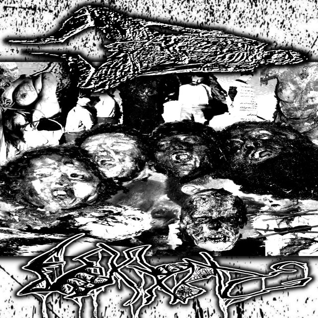 VxCxBxGx, PxNxOxTxBx 2-Way Split