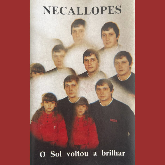 O Sol Voltou a Brilhar